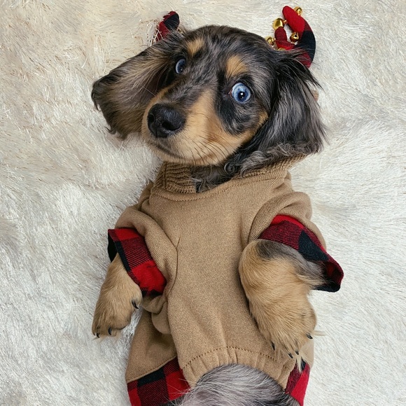 β₯οΈ Letβs be Posh friends! β₯οΈ - Picture 4 of 6